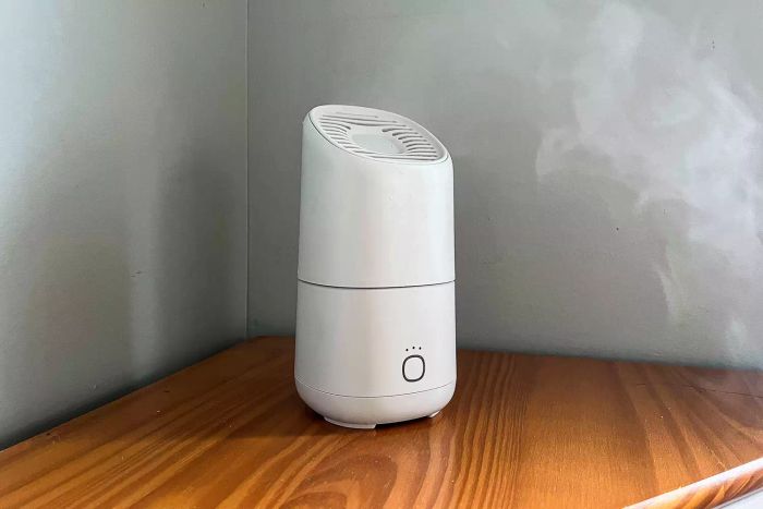 The Canopy Portable Humidifier is releasing mist