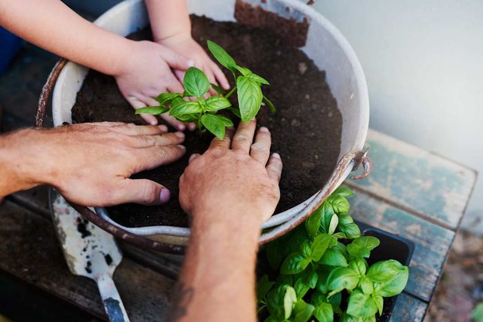 A close-up shot of an unrecognizable man and his son tending to their garden at home