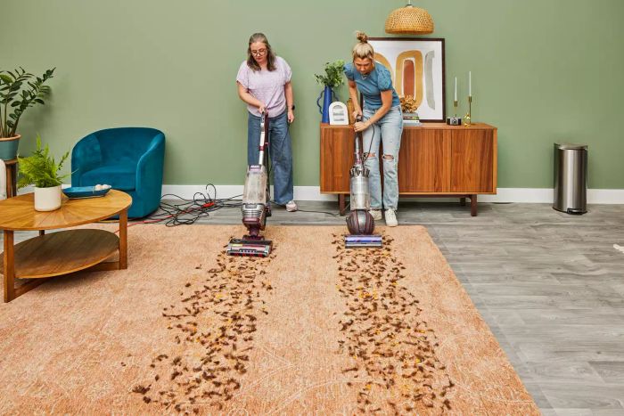 Two individuals vacuuming a rug, with the person on the right using the Dyson Ball Animal 3 Extra.