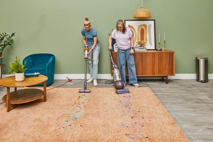 A person vacuuming with the Dyson Ball Animal 3 Extra while another person uses a different Dyson model.