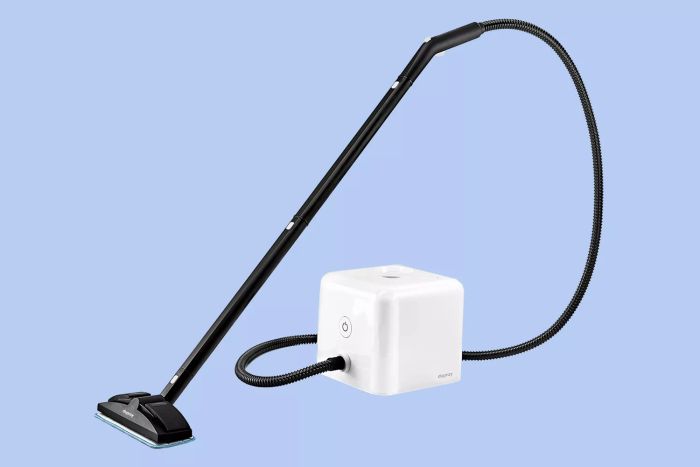 Steam Cleaner Available at Wayfair