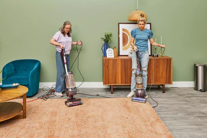 A person setting the Dyson Ball Animal 3 Extra on the corner of a rug.
