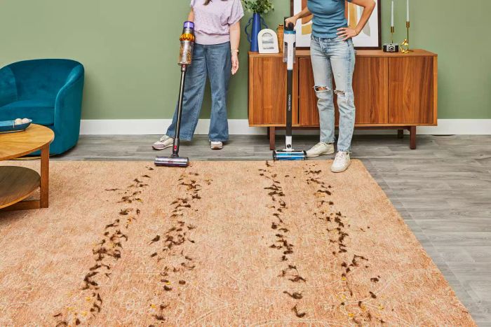 A person holding the Dyson V15 Detect Cordless Vacuum Cleaner while standing next to someone with a different vacuum cleaner