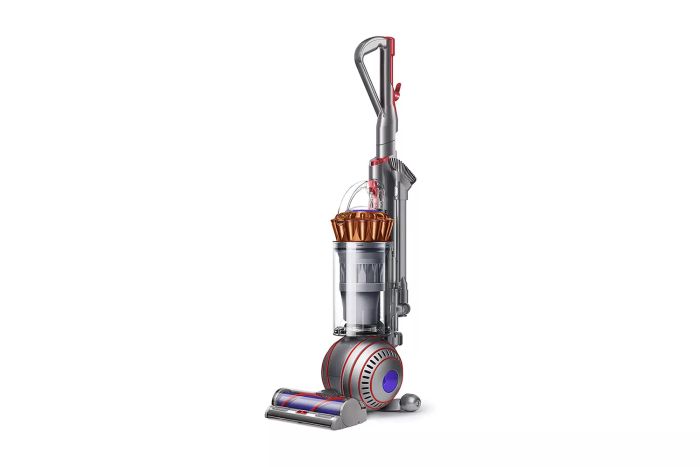 Dyson Ball Animal 3 Extra