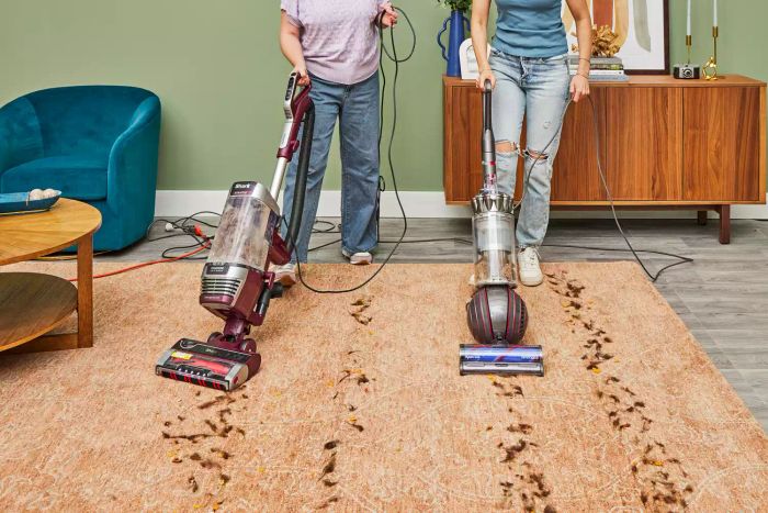 A person using the Dyson Ball Animal 3 Extra on a rug, while another person vacuums nearby.