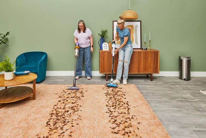 Two people cleaning a rug together, with the individual on the left using the Dyson V15 Detect Cordless Vacuum Cleaner