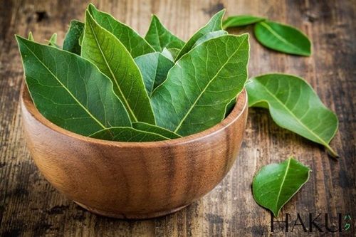 Một số phụ nữ ở Anh thường kẹp 4 chiếc lá nguyệt quế vào bốn góc gối vào đêm 13, sáng sớm ngày 14 tháng 2. Vào bữa tối ngày 13, họ ăn trứng với muối. Họ tin rằng đây là cách để họ có thể mơ về người chồng tương lai.