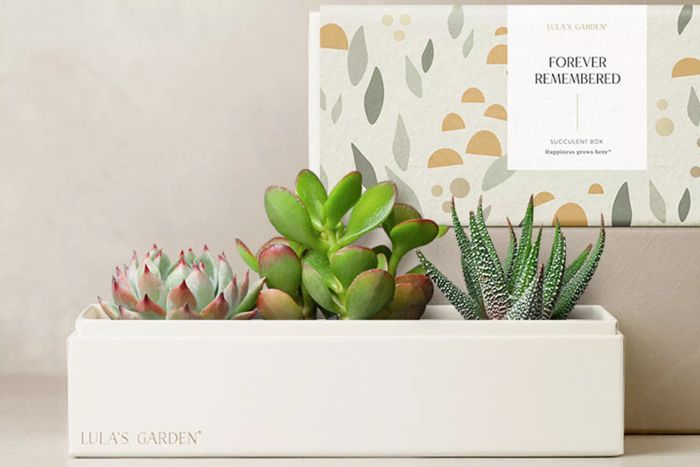 Lula’s Garden Forever Remembered Jewel Garden