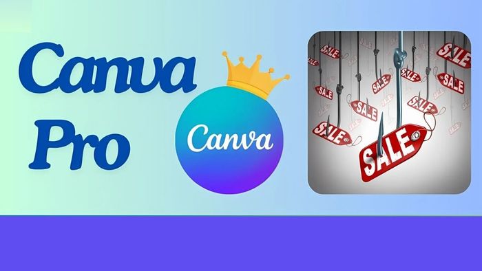 Tận dụng chương trình khuyến mãi và ưu đãi khi mua Canva Pro