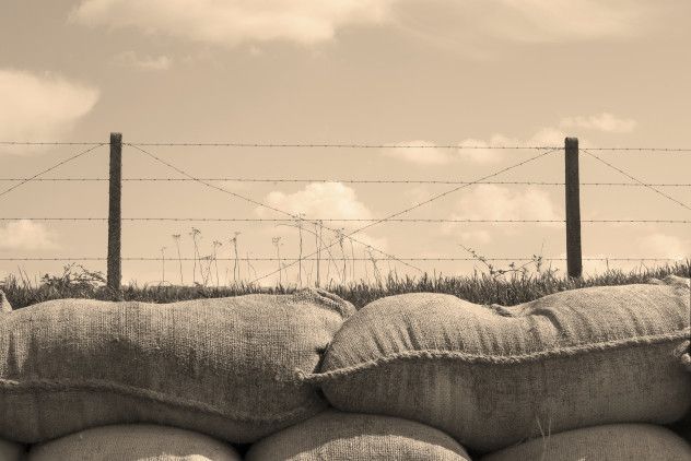 10 The Trench Experience of WWI