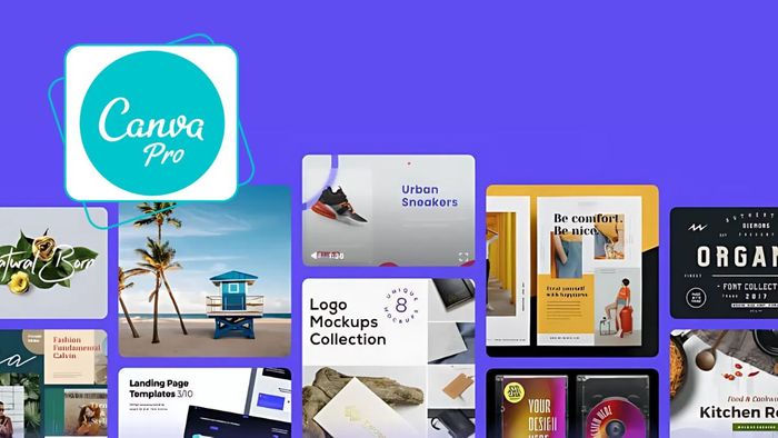 Đăng ký Canva Pro để khai thác kho tài nguyên phong phú