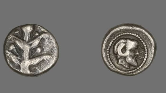 A coin featuring the Silphium plant, circa 480 to 435 BCE.
