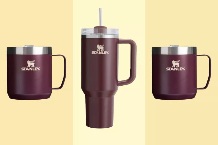 Stanley 40 oz H2.0 FlowState Quencher Tumbler in Stainless Steel
