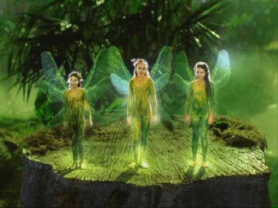 Picture Swampfairies