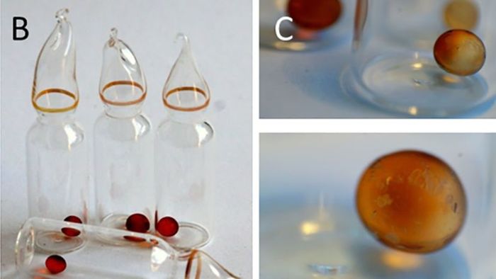 Glass vials, each containing 100 μL of B. subtilis spore stock solution (106 CFU/mL), were dried on silicon bead desiccators and then sealed, as detailed in the Methods section. (C) Silica beads were used to maintain the desiccation.