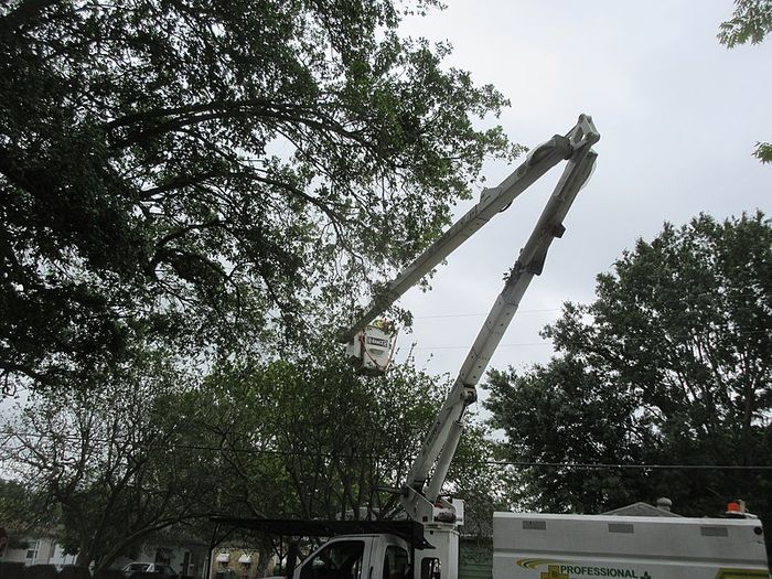 File:Tree Trimming Truck - Jefferson Louisiana April 2020 01.jpg
