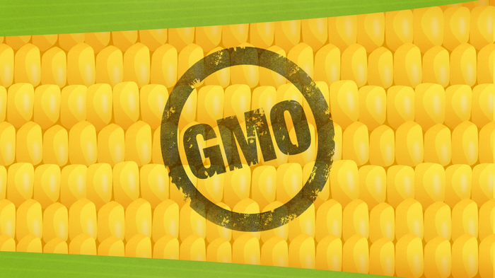 Soon, you'll find the phrase 'partially produced with genetic engineering' in fine print on numerous food labels. Activists have poured millions into pushing for this addition, while food corporations have spent equally large sums opposing it. None of this has had any bearing on your health.