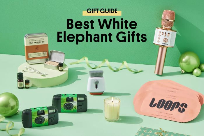 Mytour’s Ultimate Guide to White Elephant Gift Picks