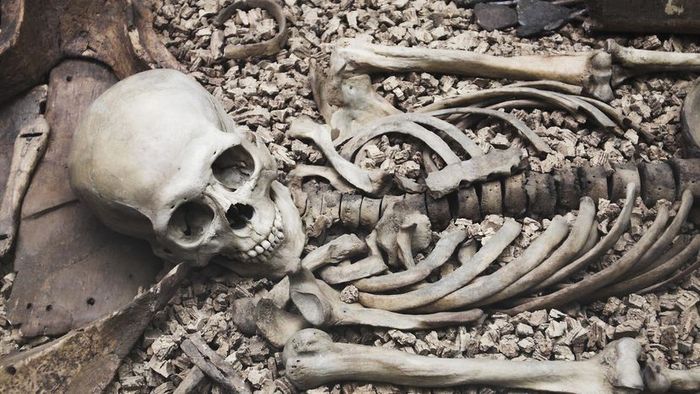 Ancient Bones Unearthed