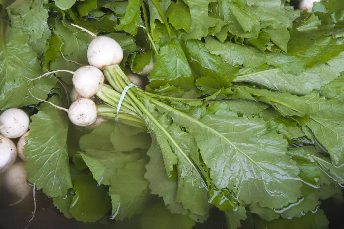 Turnips & Greens