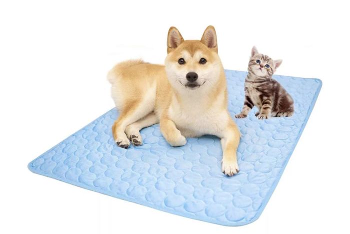 MICROCOSMOS Summer Cooling Mat & Sleeping Pad on Amazon
