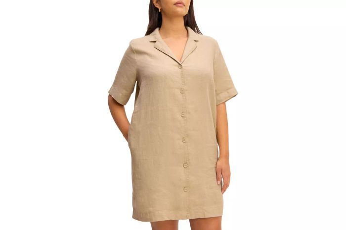 Everlane Linen Shirt Dress