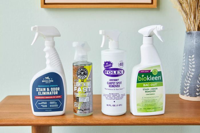 The 9 Leading Carpet Stain Removers of 2022, Based on Our Comprehensive Tests