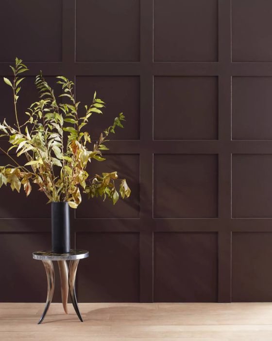 Wenge by Benjamin Moore