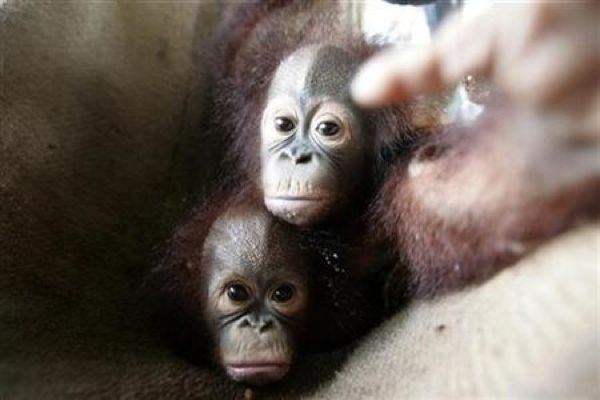 S2.Reutersmedia