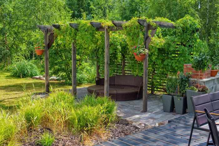 Pergola covered with vines