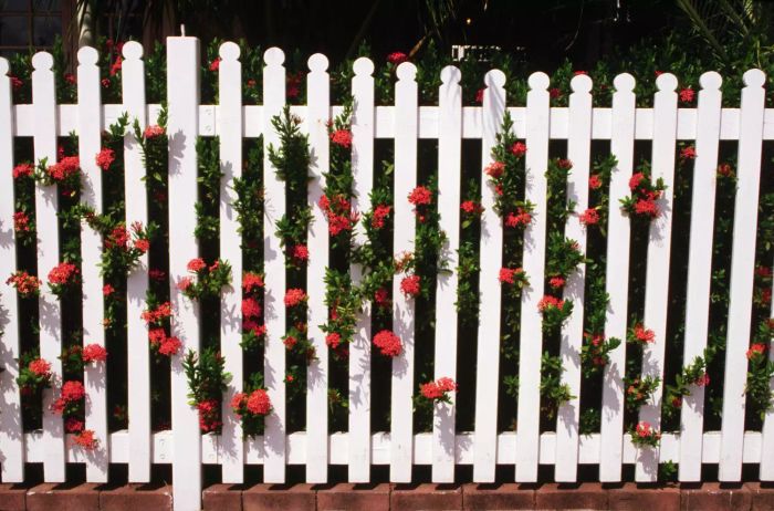 Wavy white fence adorned with pink flowers