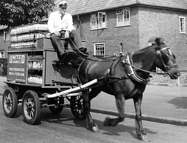 D-Horse-Milkcart-1950
