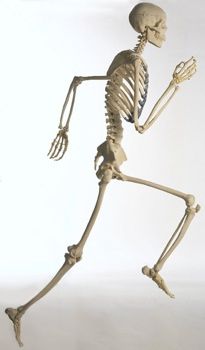 35020554.Jpg