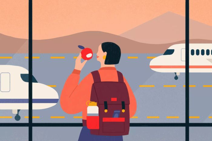 A vibrant illustration showing a person at an airport, enjoying a red apple while gazing at planes outside