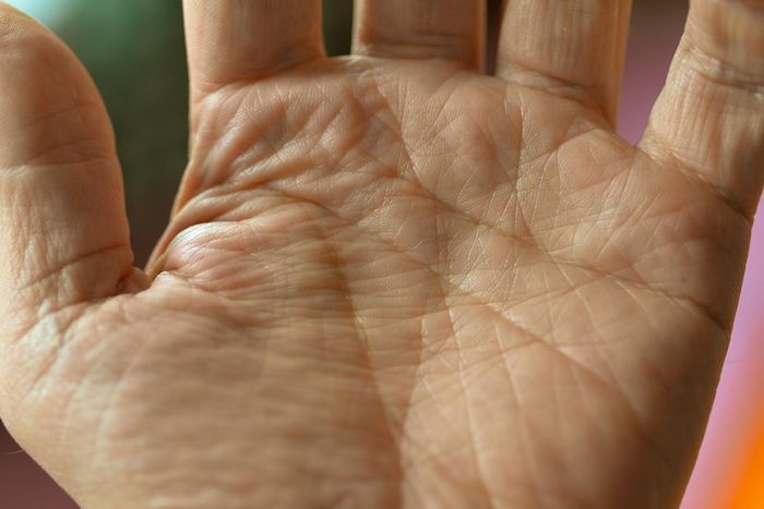 Lines found in palmistry
