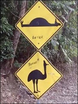 Lucy Black's Amusing Australian Road Sign 225X300