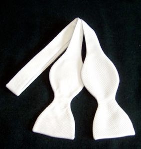 Bwtiselftie