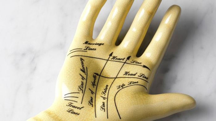 Palm Lines