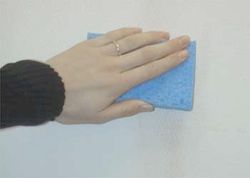 Washing Painted Walls