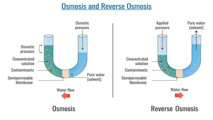osmosis and reverse osmosis explained