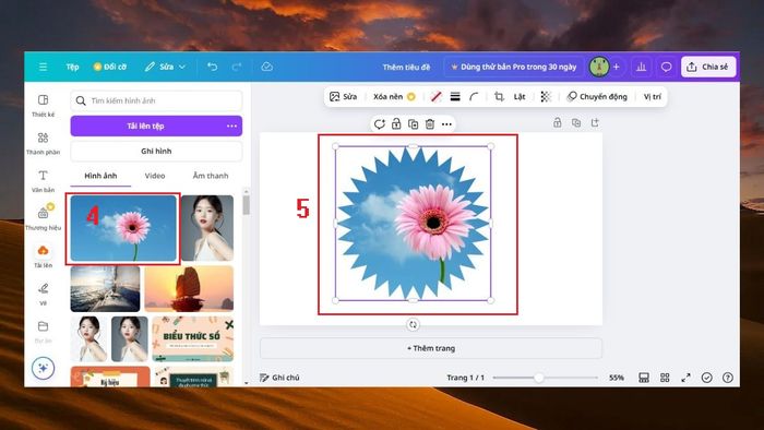 Cách cắt ảnh theo đường viền trong Canva để nâng cao thiết kế của bạn