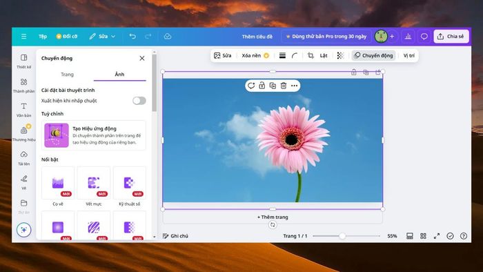 Những mẹo hay khi cắt ảnh trên Canva