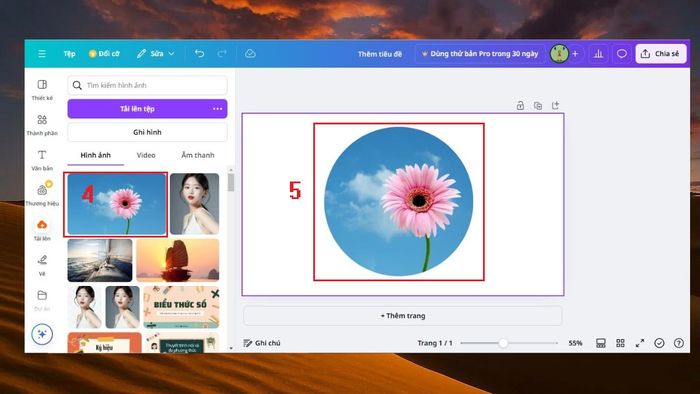Sử dụng khung cơ bản để chỉnh sửa ảnh trên Canva