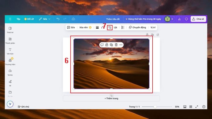 Hướng dẫn cắt ảnh dễ dàng trên Canva