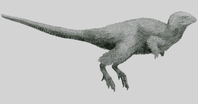 Kulindadromeus zabaikalicus