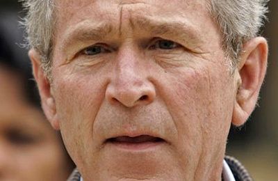 Bush460