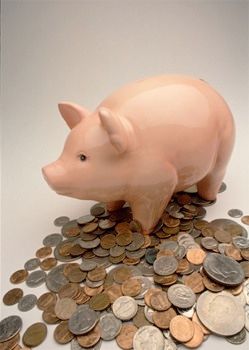 Piggy Bank