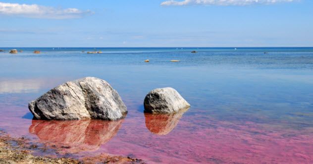 8-algae-bloom-151933561