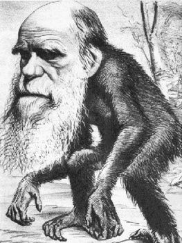 Darwin As Monkey