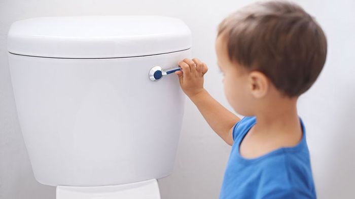 person flushing toilet